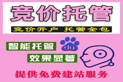 信息流平台案例研究：广告投放新视角